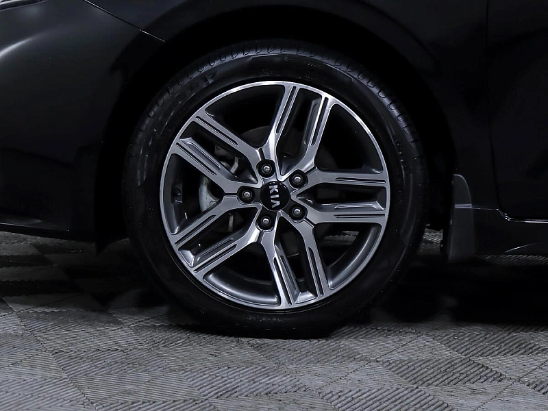 Cerato