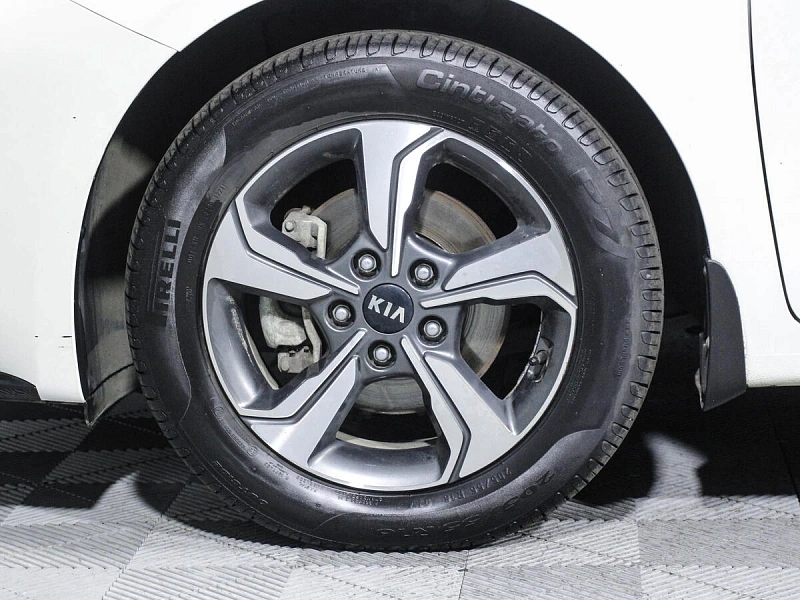 Cerato