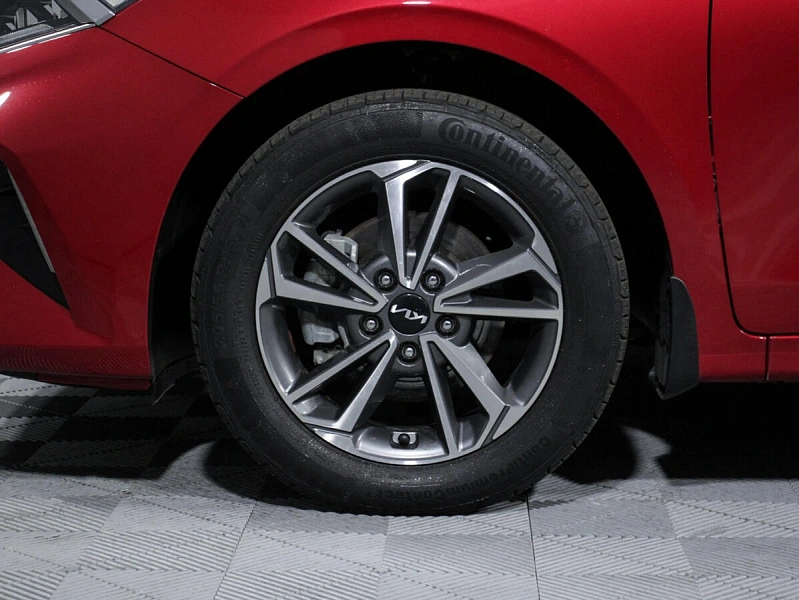 Cerato