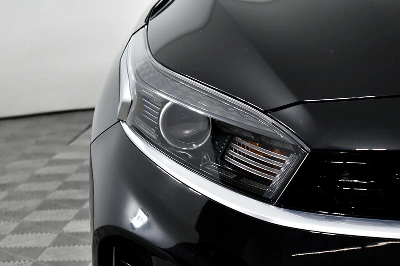 Cerato