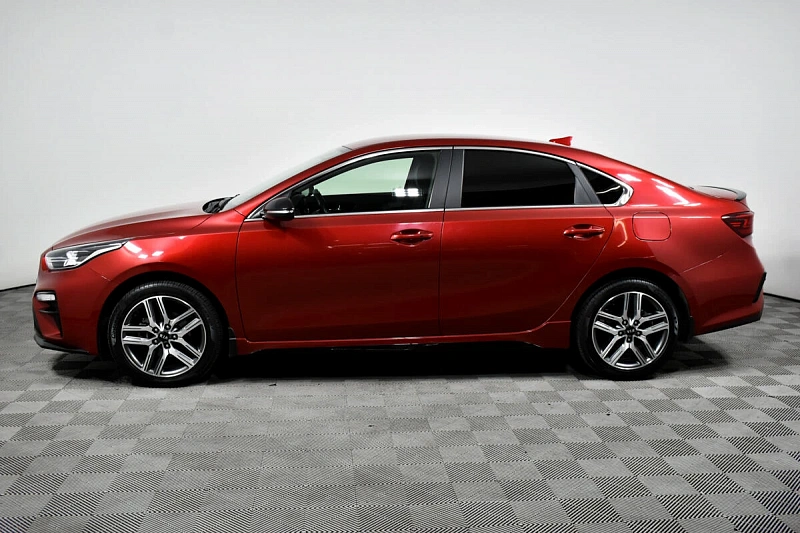Cerato