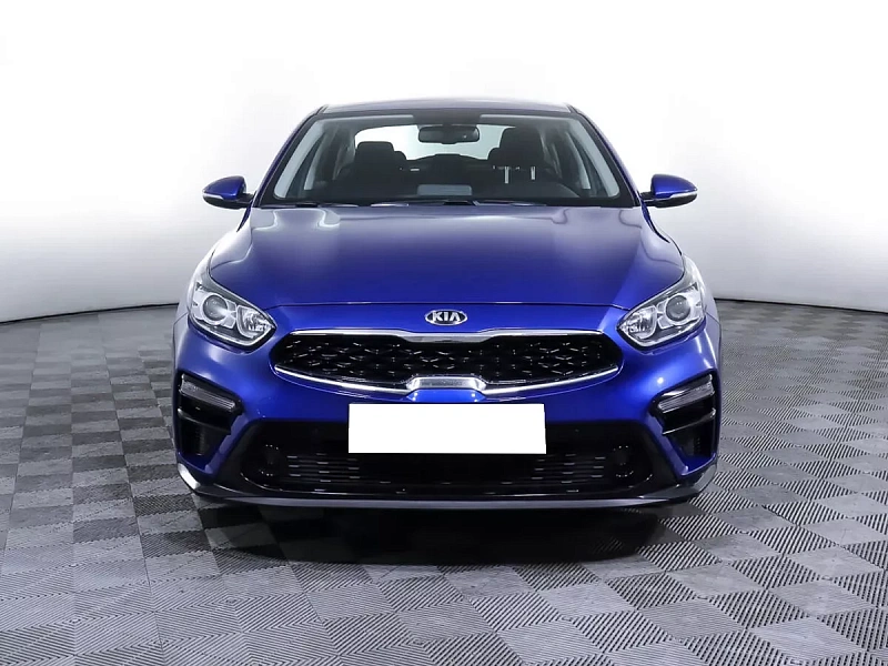 Cerato