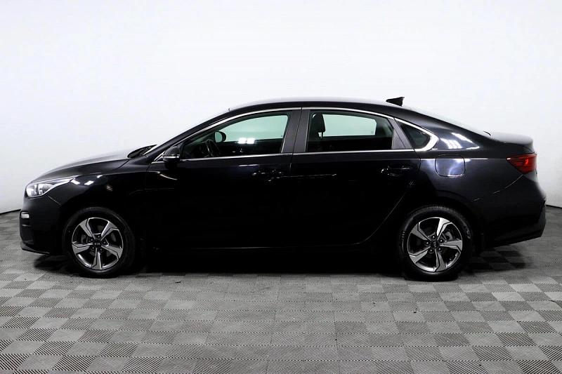 Cerato