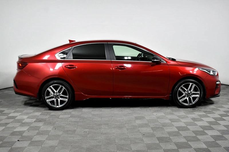 Cerato