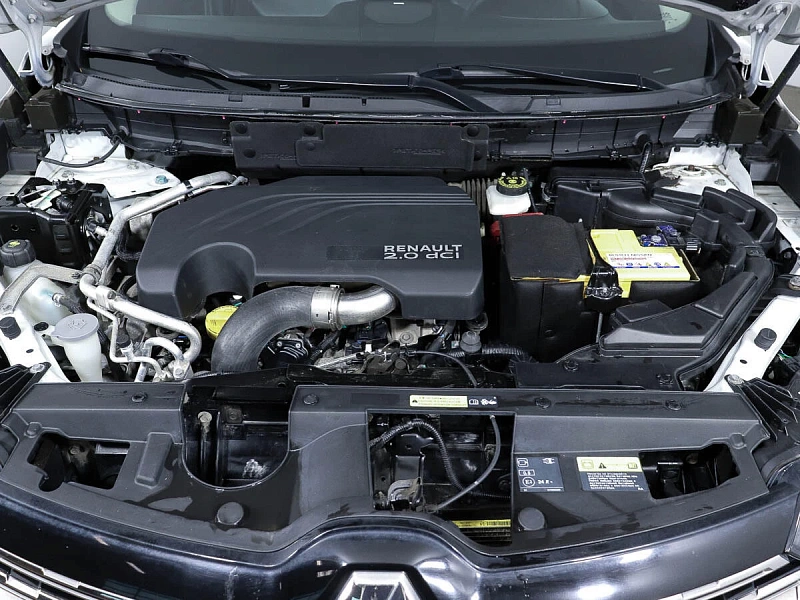 Koleos