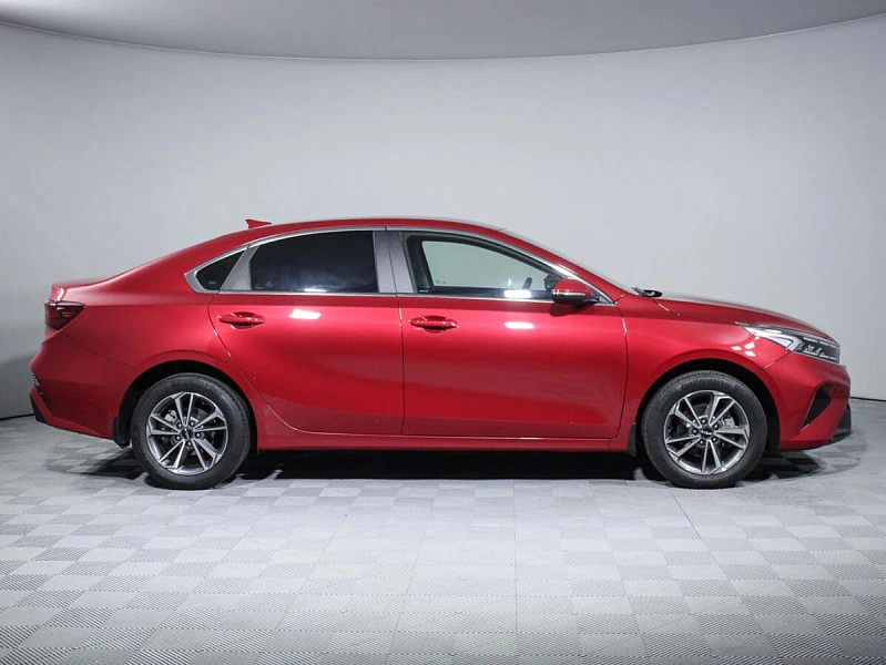 Cerato