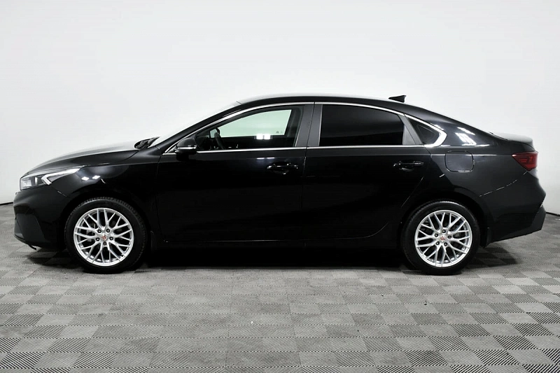 Cerato