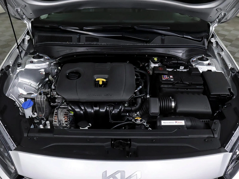 Cerato