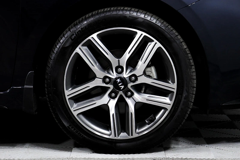 Cerato