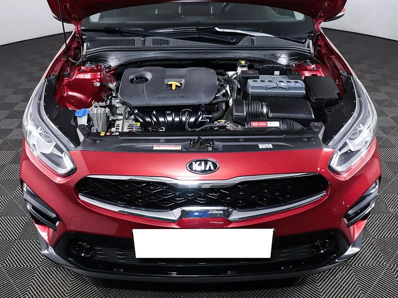 Cerato
