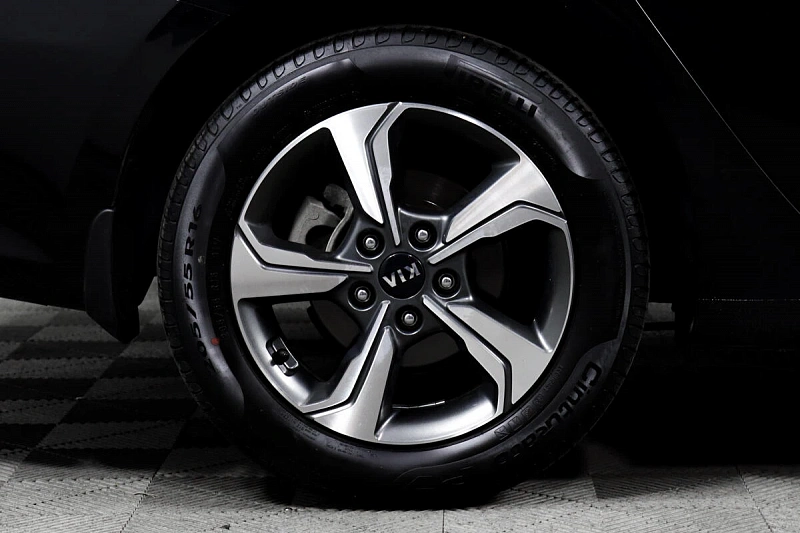 Cerato