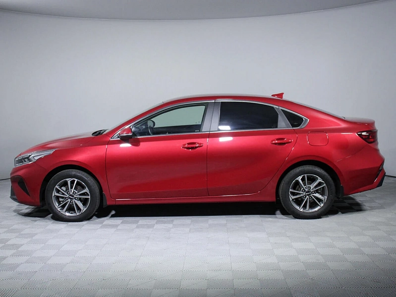 Cerato