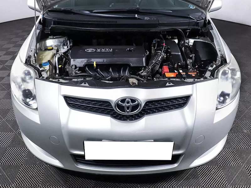 Auris