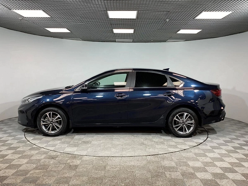 Cerato