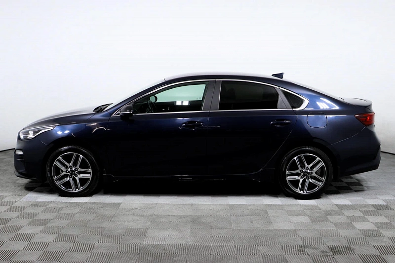 Cerato