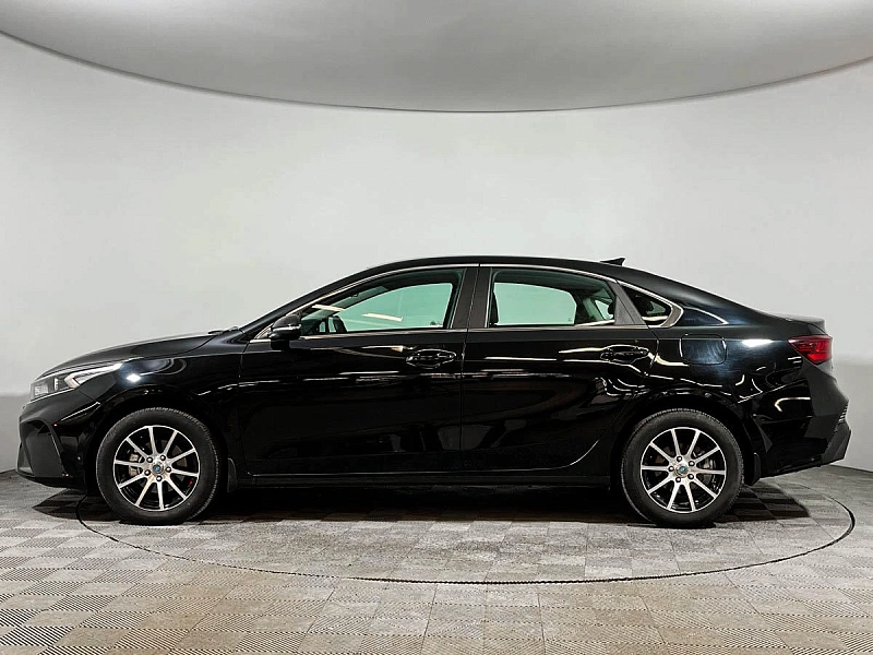 Cerato