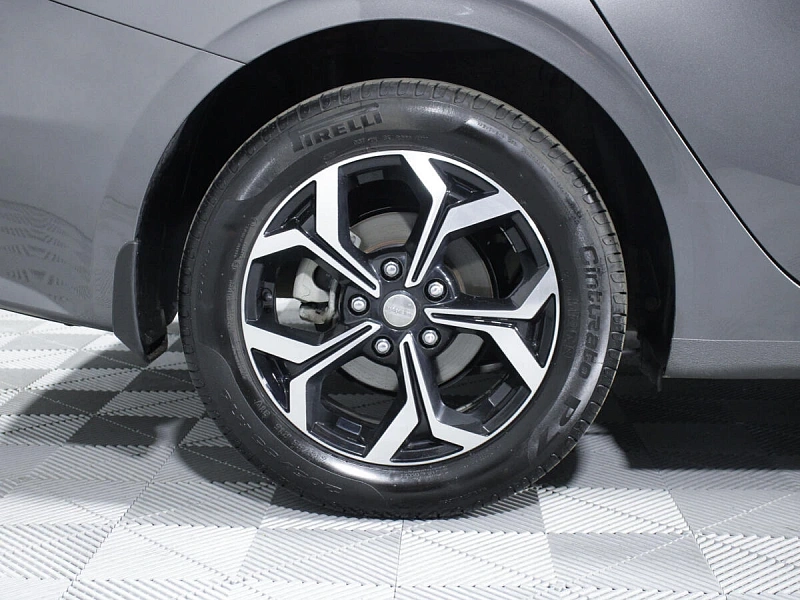Cerato