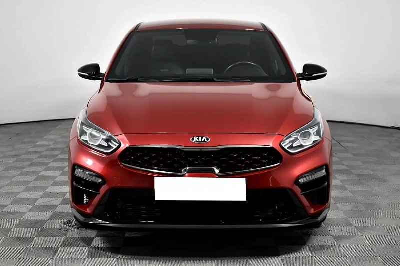 Cerato