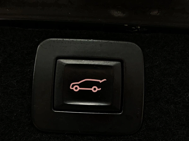Insignia