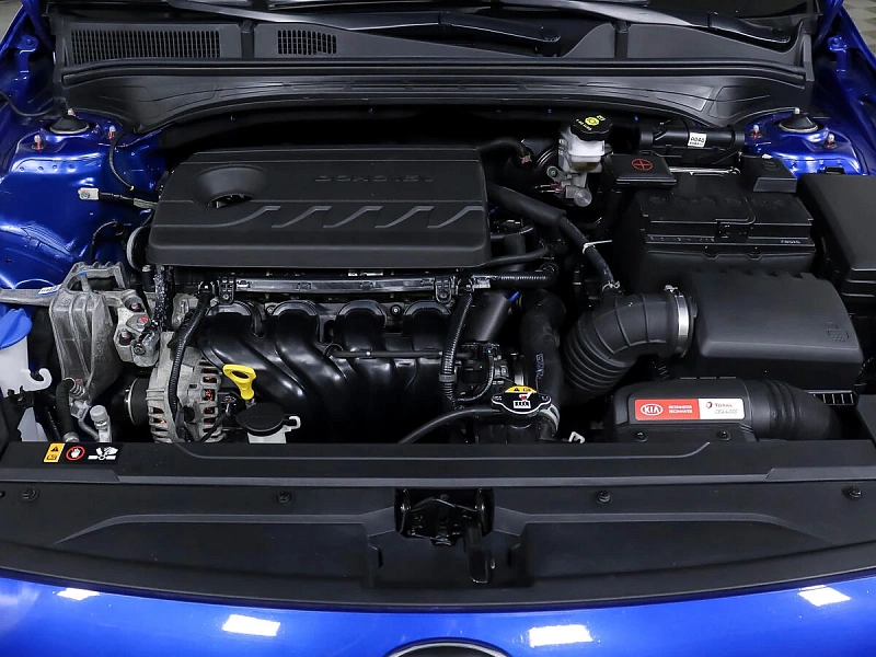 Cerato