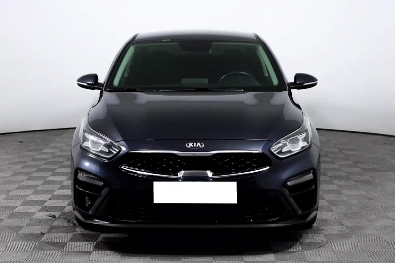 Cerato