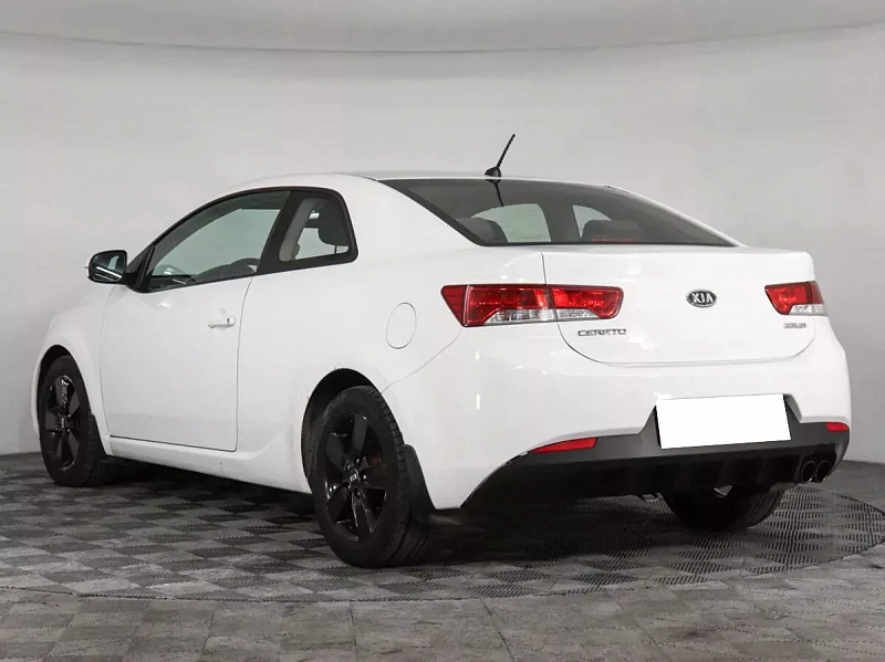 Cerato