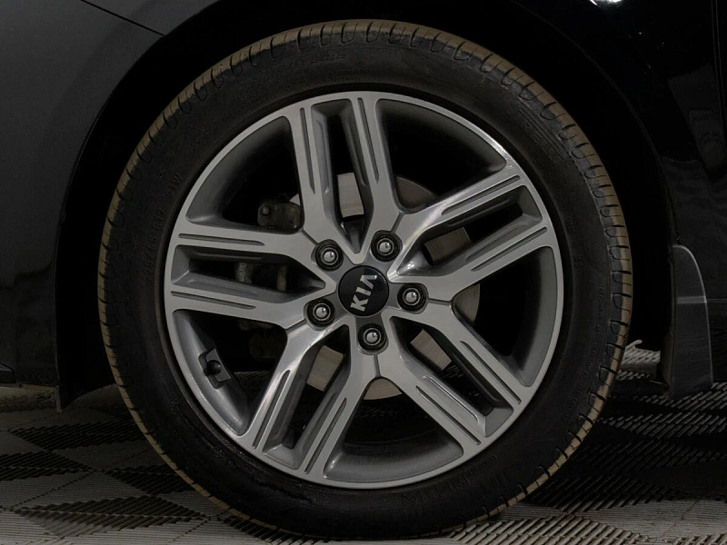 Cerato