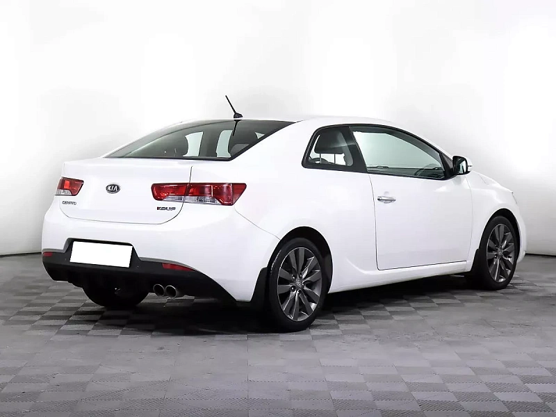 Cerato
