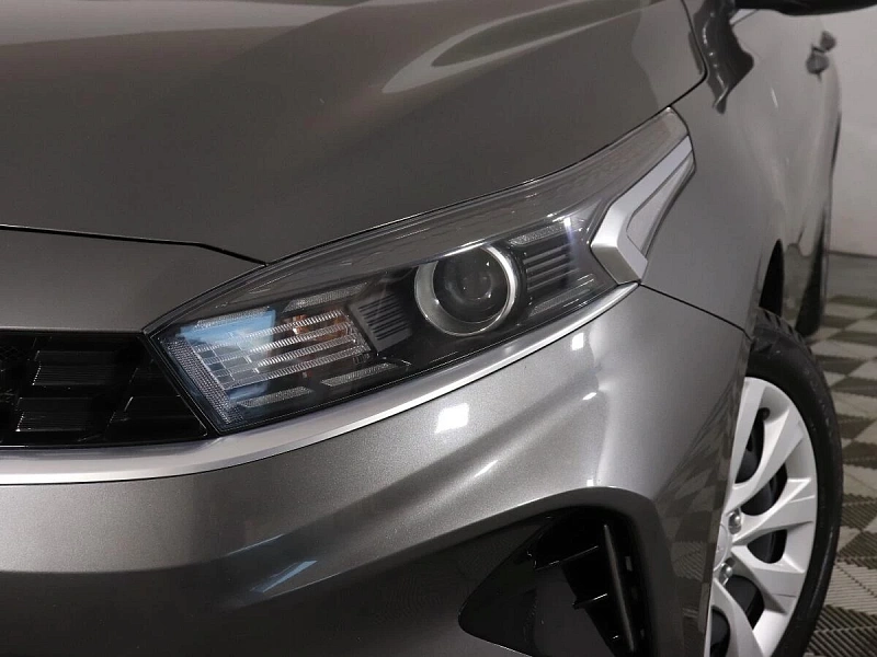 Cerato