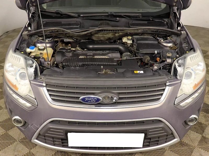 Kuga
