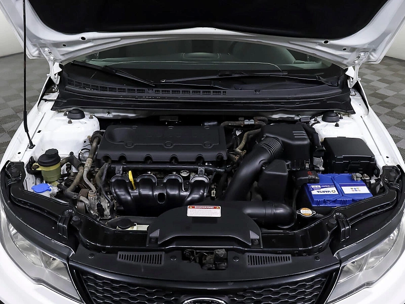 Cerato