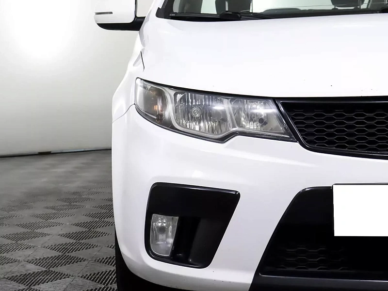 Cerato