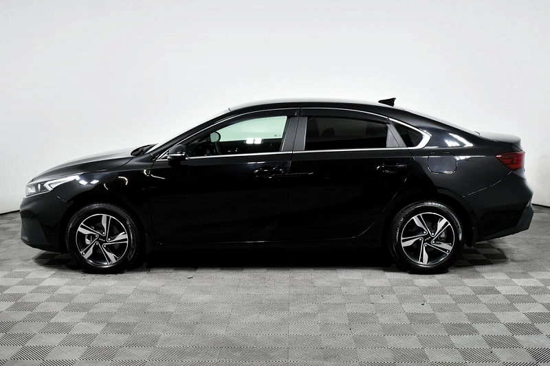 Cerato