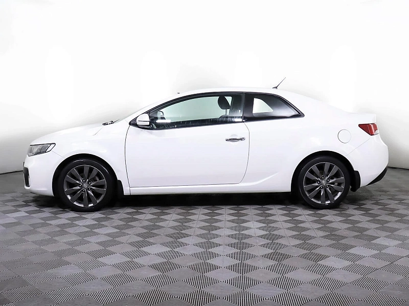 Cerato