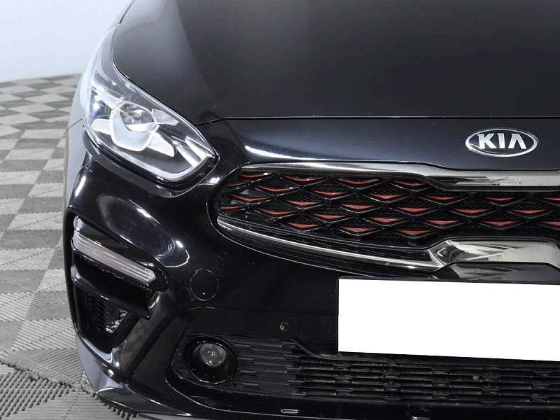 Cerato