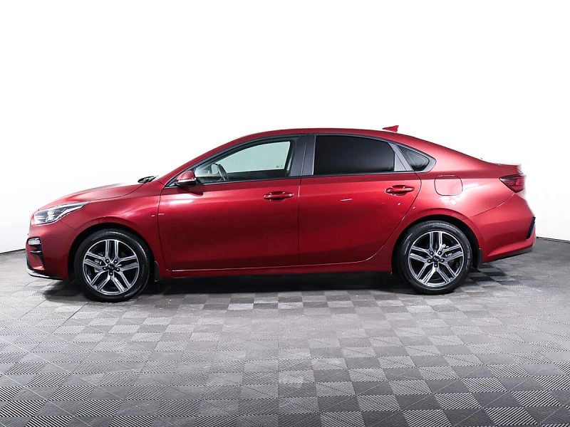 Cerato