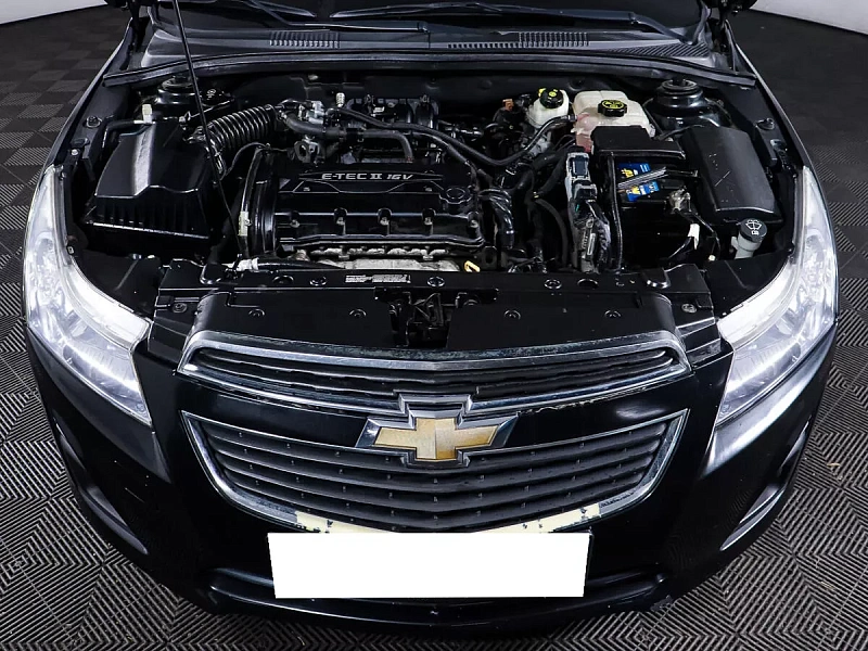 Cruze