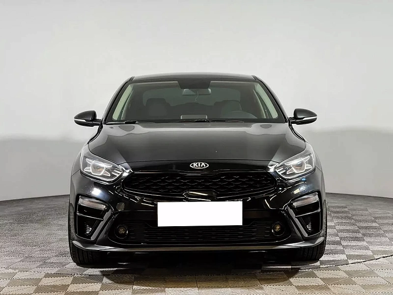 Cerato