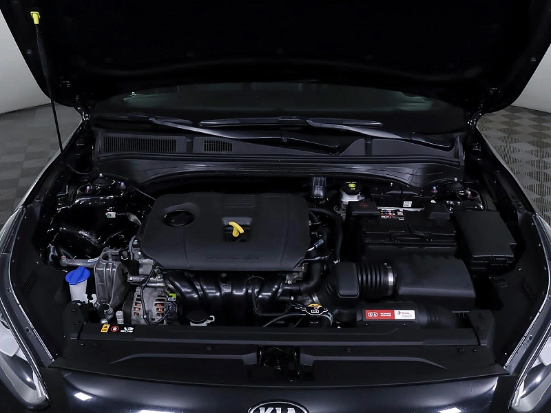 Cerato