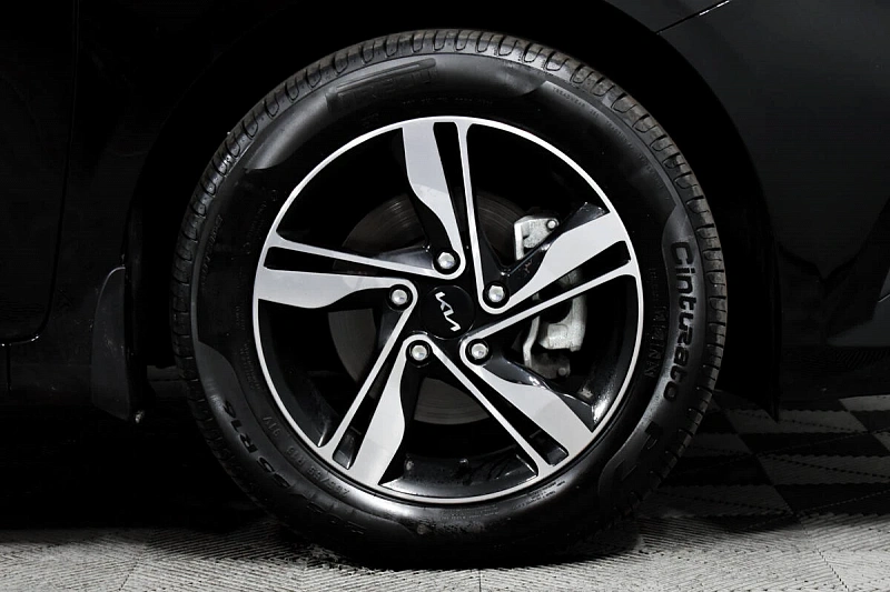 Cerato