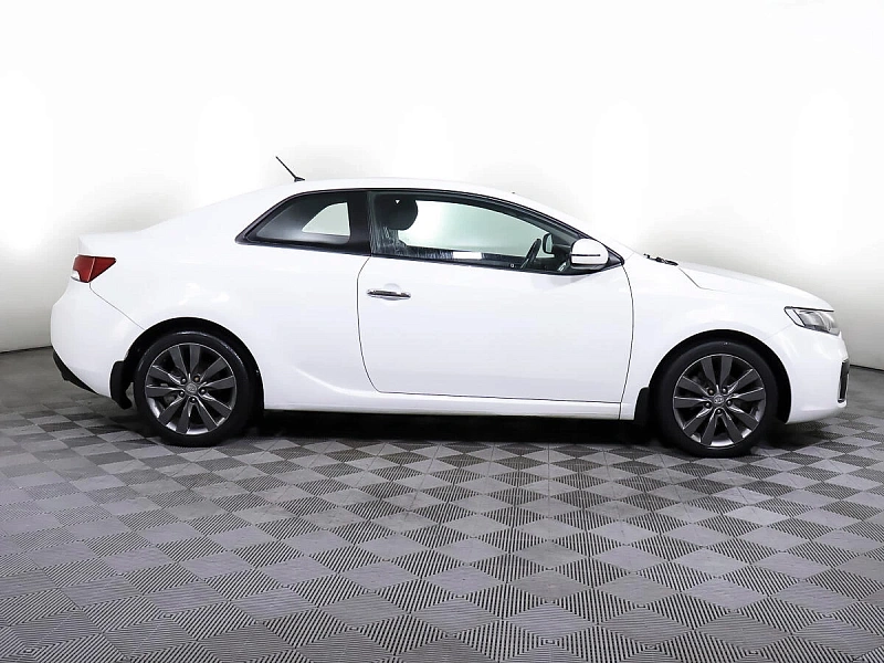 Cerato