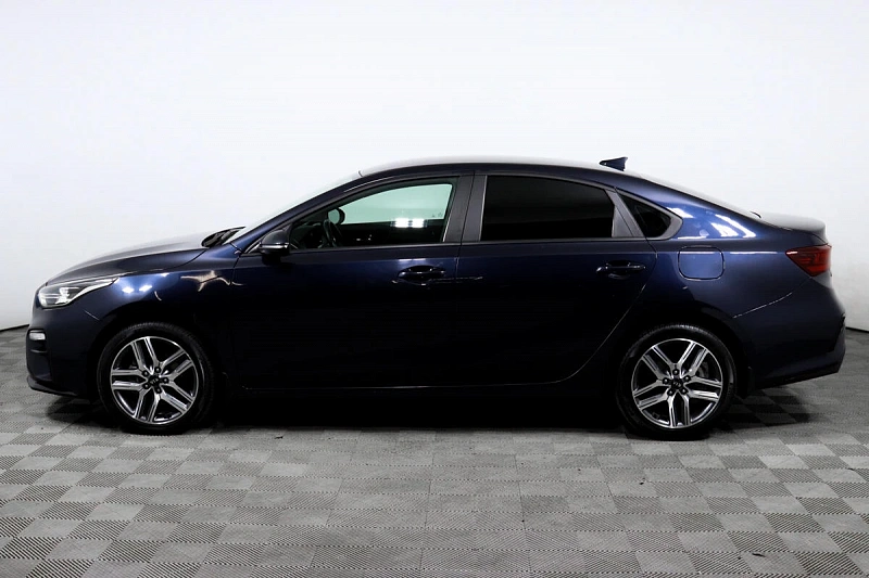 Cerato